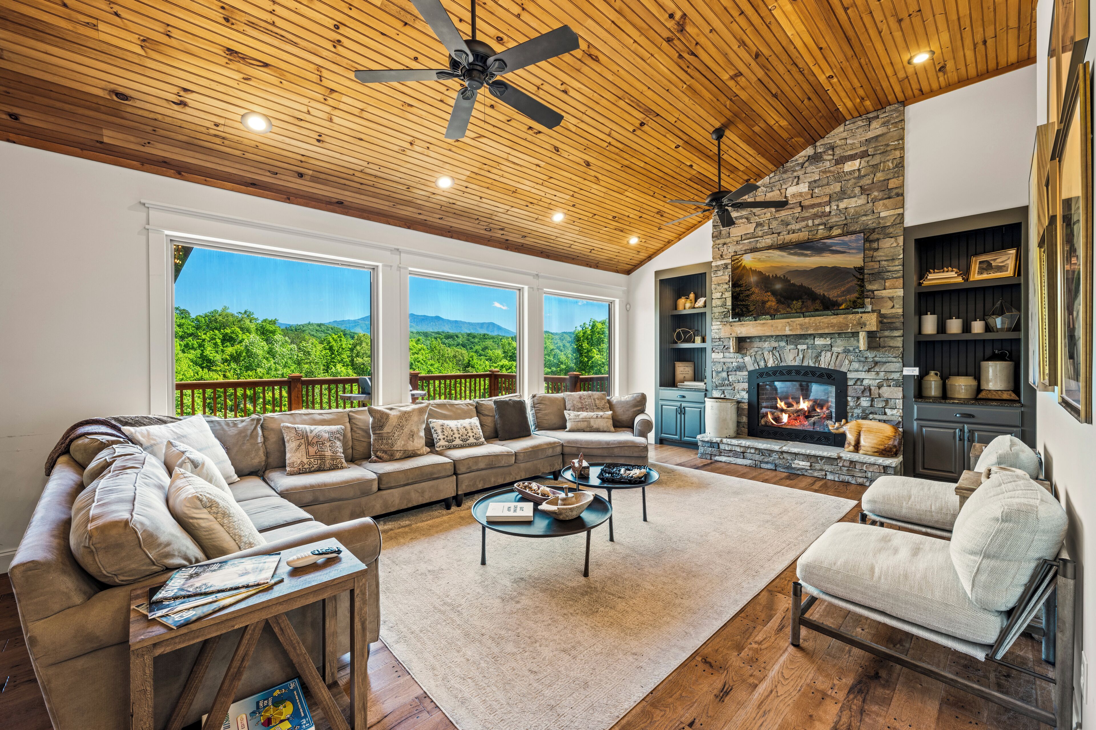 TV connectée, cheminée, lecteur de DVD, livres