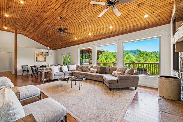 TV connectée, cheminée, lecteur de DVD, livres