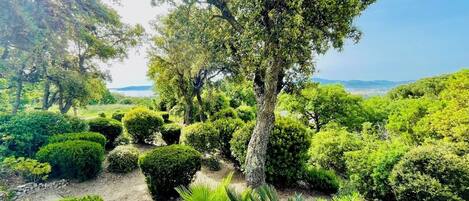 Parco della struttura