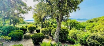 Villa "Bellevue" 80 m² (Golfe de Saint-Tropez) 6 people