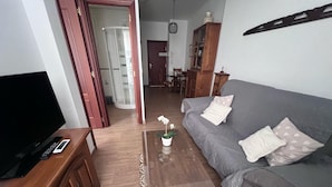 A living room with a grey sofa, a TV on a wooden stand, a small table with a potted plant, and a patterned rug. - Apartment 2nd left (1 Bedroom) (Sevilla)