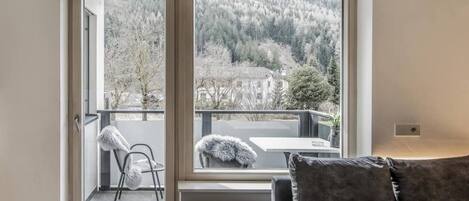 Smart TV, fireplace, DVD player, books