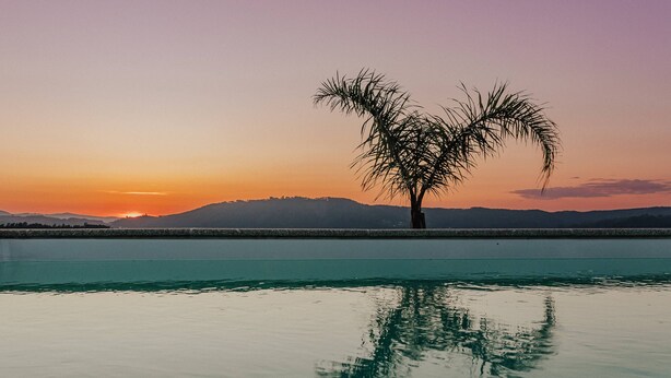 A calm body of water reflecting a palm tree and a sunset. - Villa Cantinho da Cavadinha (Burgo)