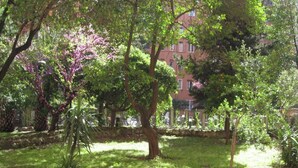 Ein Garten mit verschiedenen Bäumen und Sträuchern, einer Steinmauer und einem Gebäude im Hintergrund.