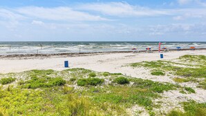 Une plage avec un rivage sablonneux, quelques plantes et l’océan en arrière-plan.