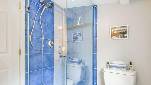 A bathroom with a glass-enclosed shower, a toilet, and a framed picture on the wall. - 2 Mi to Mt Snow: Cozy Family Alpine Retreat! (West Wardsboro)