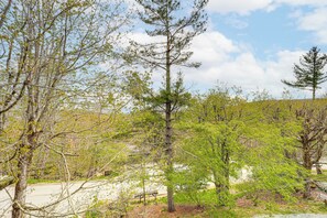 Apartment (0 Bedroom) | Interior - Walk to Hiking & Skiing: Beech Mountain Condo (Banner Elk)