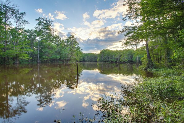 A calm lake surrounded by dense forest.