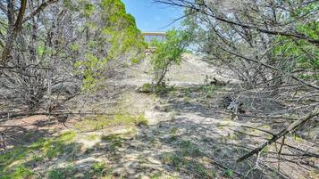 單棟房屋 (1 Bedroom) | 內部