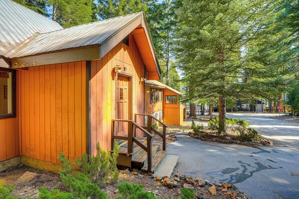 Une cabane en bois dotée d’un porche et d’un toit en métal, entourée d’arbres et bordée par une route goudronnée.