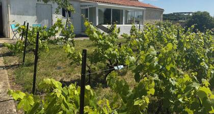 Dans mon Verger - Agréable maison idéalement située