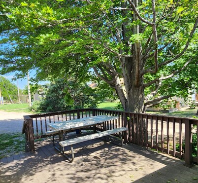 Lake Mac Lodge Ranch House - Charming 4-bedroom house in Lemoyne