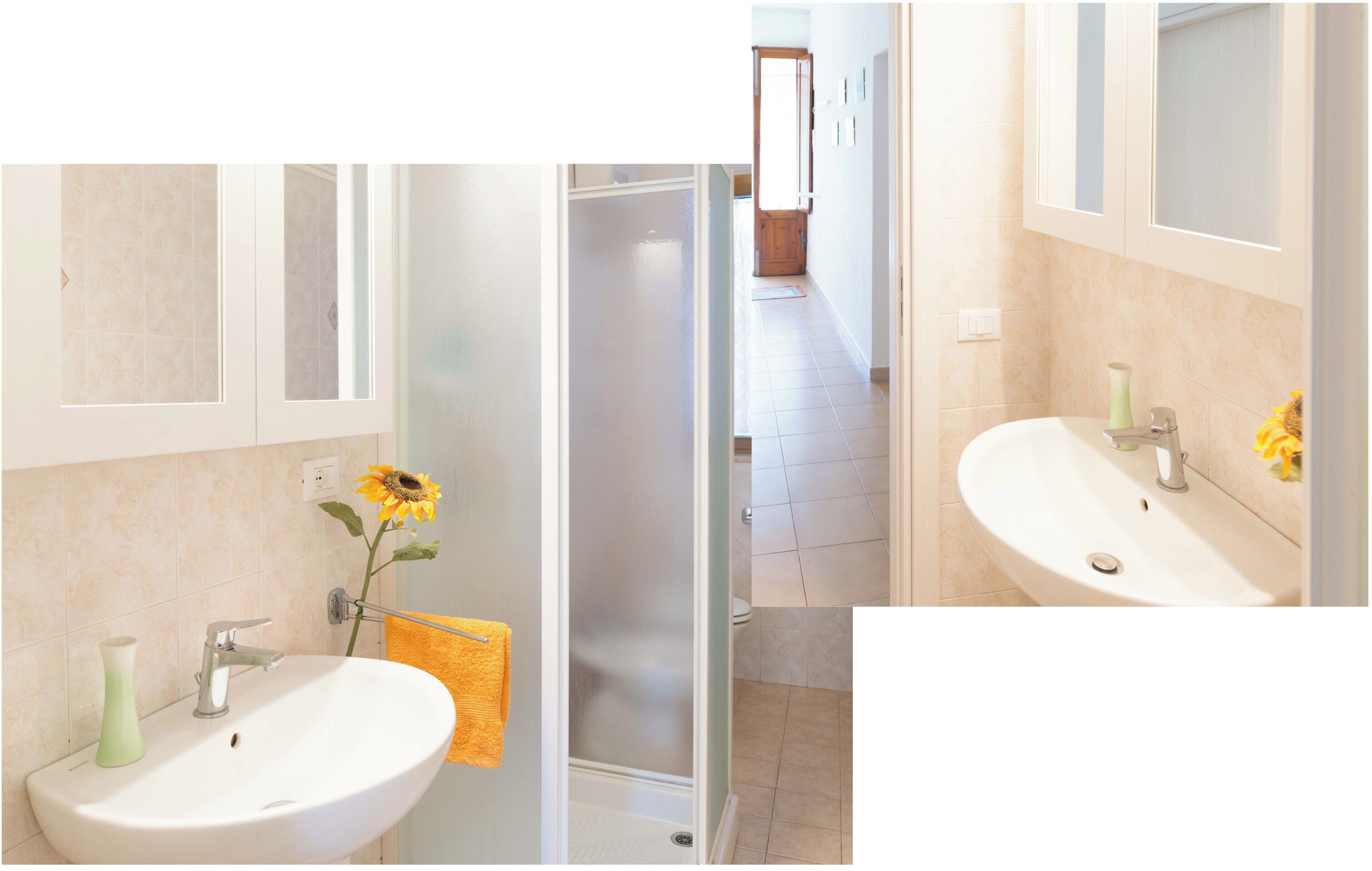 Shower, hair dryer, bidet, towels