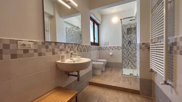 Shower, hair dryer, bidet, towels