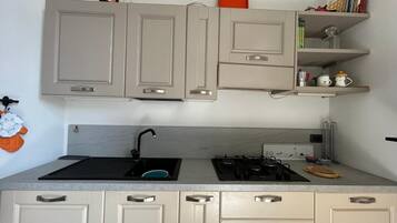 KĂŒhlschrank, Mikrowelle, Ofen, Herdplatte