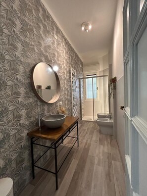 Shower, hair dryer, bidet, towels