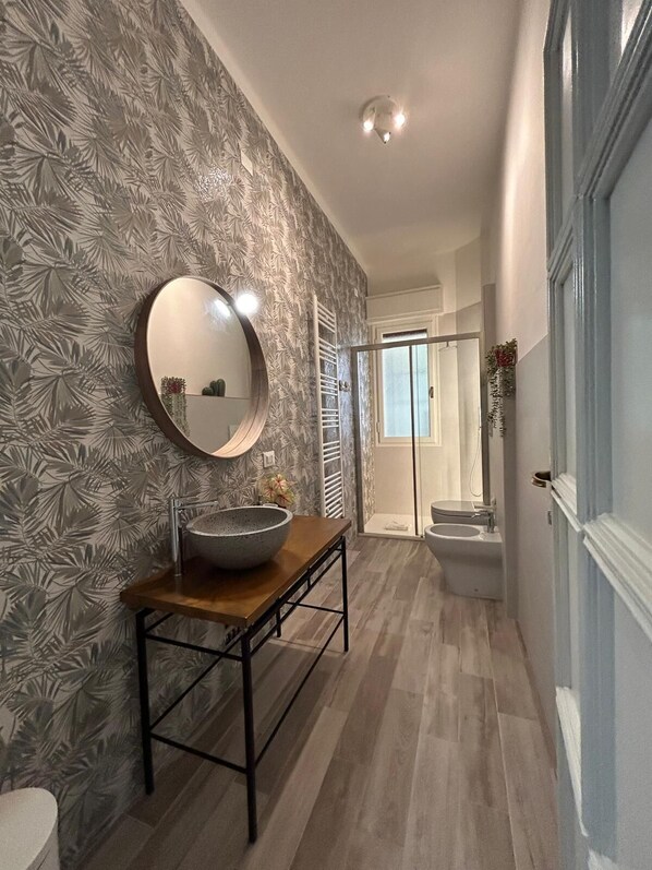 Shower, hair dryer, bidet, towels