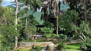 안뜰 전망