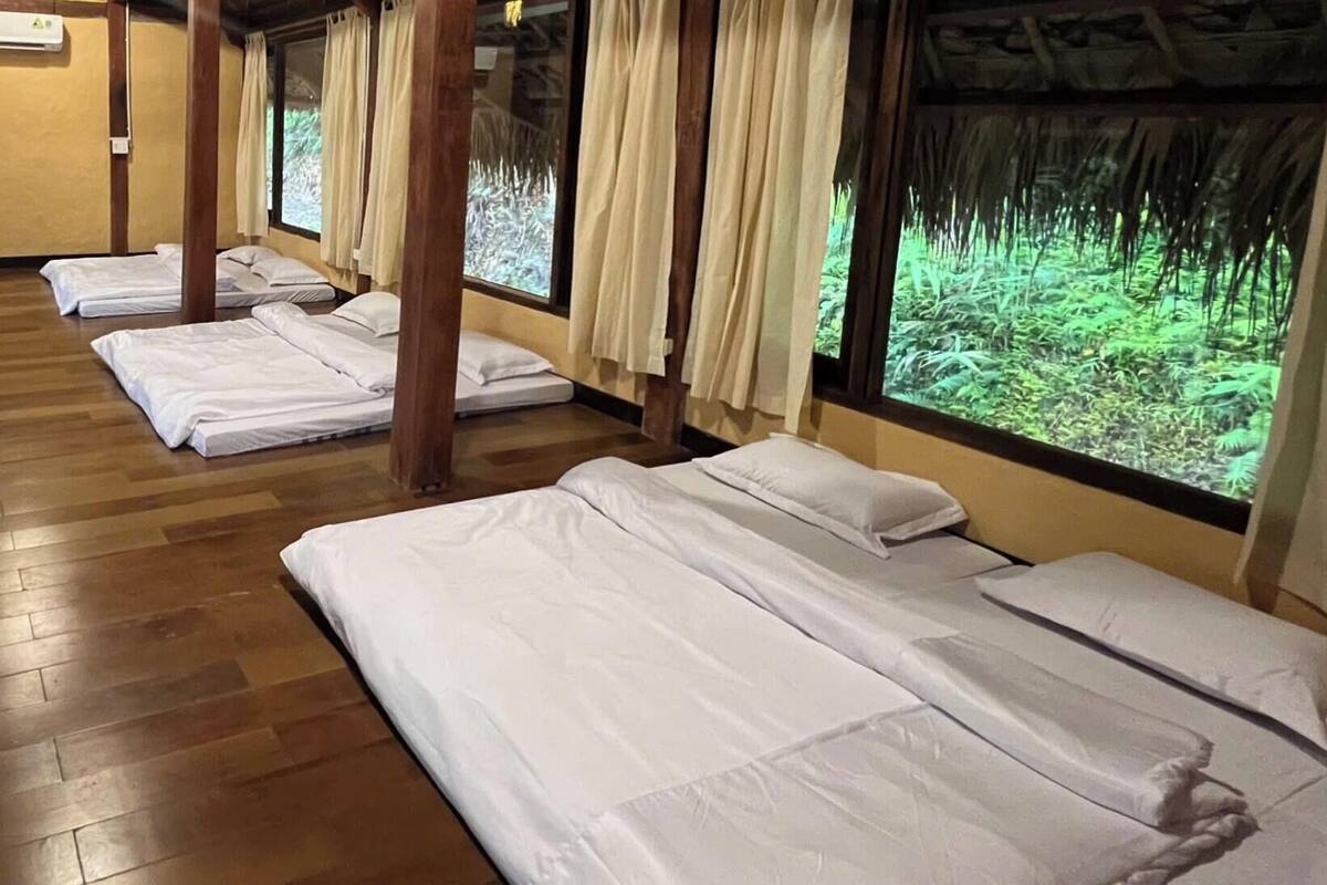 A room with wooden beams, multiple beds with white linens, a ceiling fan, and a large window with a view of greenery.