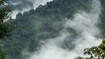 A lush, mountainous landscape with dense greenery and mist.