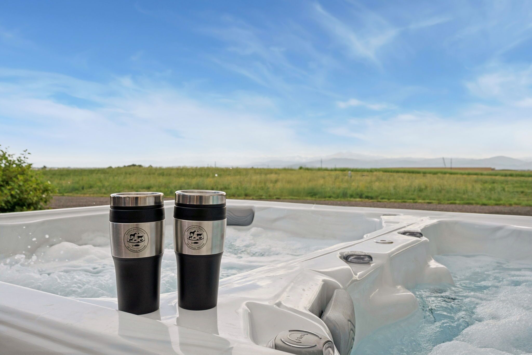 A hot tub with two stainless steel thermoses on its edge, surrounded by a grassy field and mountains in the background.