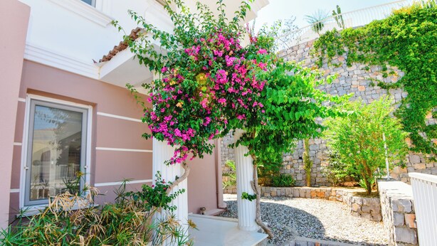 En bygning med rosa facade, en stenvæg og en have med en hvid søjle og pink blomster.