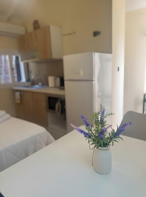 Fridge, microwave, stovetop, coffee/tea maker