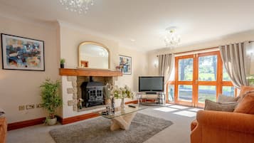 Smart TV, fireplace, stereo