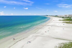 Beach - The Shaded Sanctuary: Enjoy this beautiful home surrounded by some of Florida's (Sarasota)
