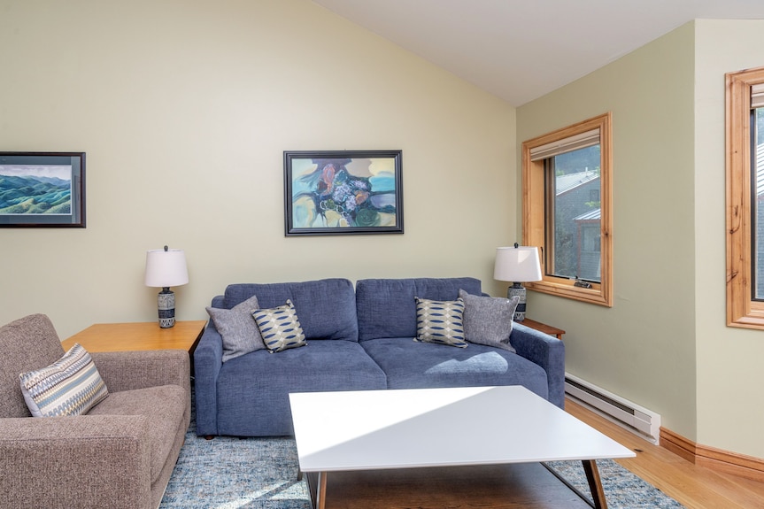 Lulu-curate Telluride, Near Market, Lift 7, Pool, Hot Tub, Dog Ok, Updated - Silverton, CO