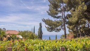 A coastal landscape with a variety of trees, a fence, and a building with a red roof.
