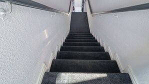 A staircase with a handrail, carpeted steps, and white walls.