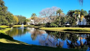 A serene pond with a fountain, surrounded by well-maintained grass and palm trees, reflecting nearby buildings.