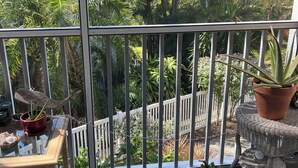 A balcony with a view of a garden, a small table with a plant, and a potted plant on the railing.