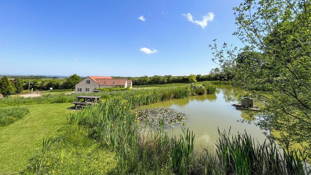 A house with a red roof, a pond, and surrounding greenery. - Lauras Loft - UK49740 (Greetham, near Horncastle)