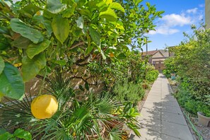 Property grounds - Apartment 'Di Pina' with Private Terrace, Shared Garden and Air Conditioning (Sant'Antioco)