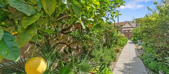 Apartment 'Di Pina' with Private Terrace, Shared Garden and Air Conditioning