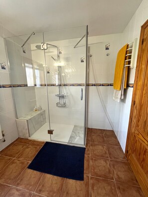 Shower, hair dryer, towels
