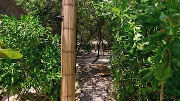 Un sendero de madera conduce a un edificio con techo de paja rodeado de abundante vegetación.