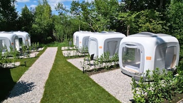 1 Schlafzimmer, Bettwäsche