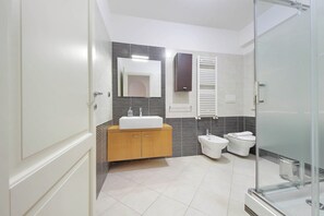 Shower, hair dryer, bidet, towels