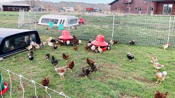 Àrea exterior de l'allotjament