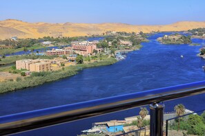 A river with buildings along its banks, a bridge, and palm trees. - Blue Lotus Nile Suites (Aswan)