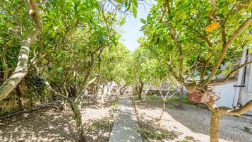 Parco della struttura