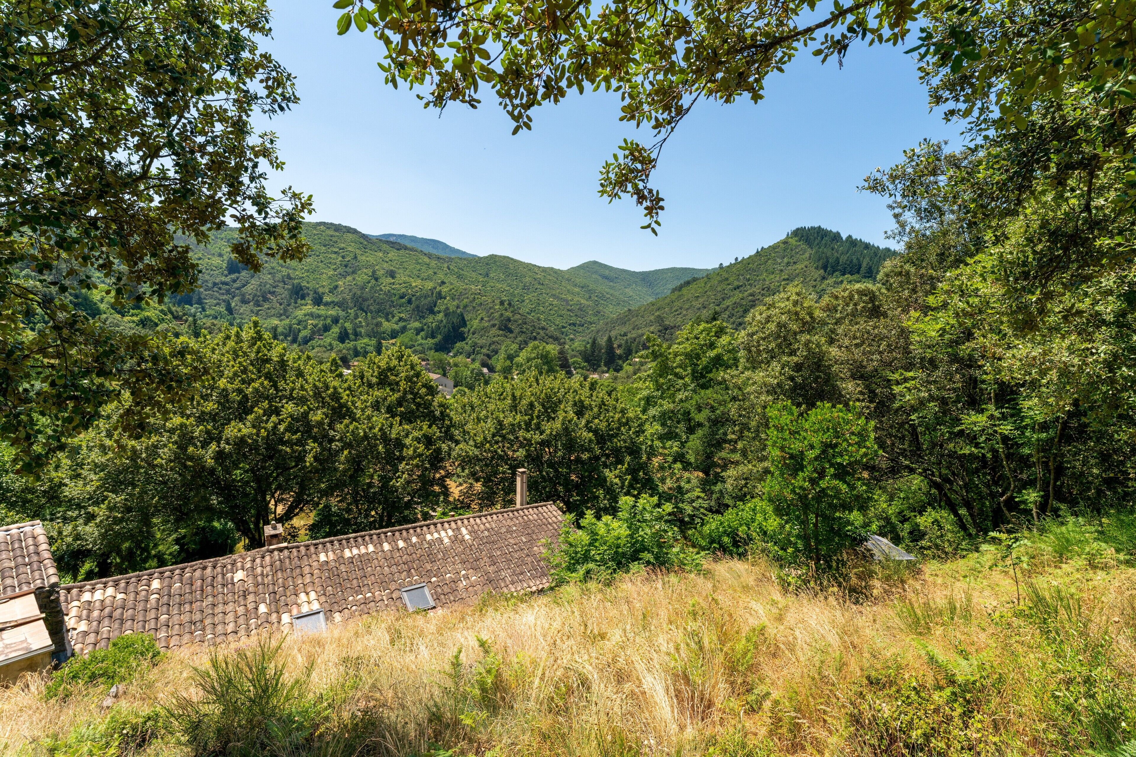 Entorno rural con una casa rodeada de un bosque denso y colinas.