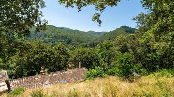 Entorno rural con una casa rodeada de un bosque denso y colinas.