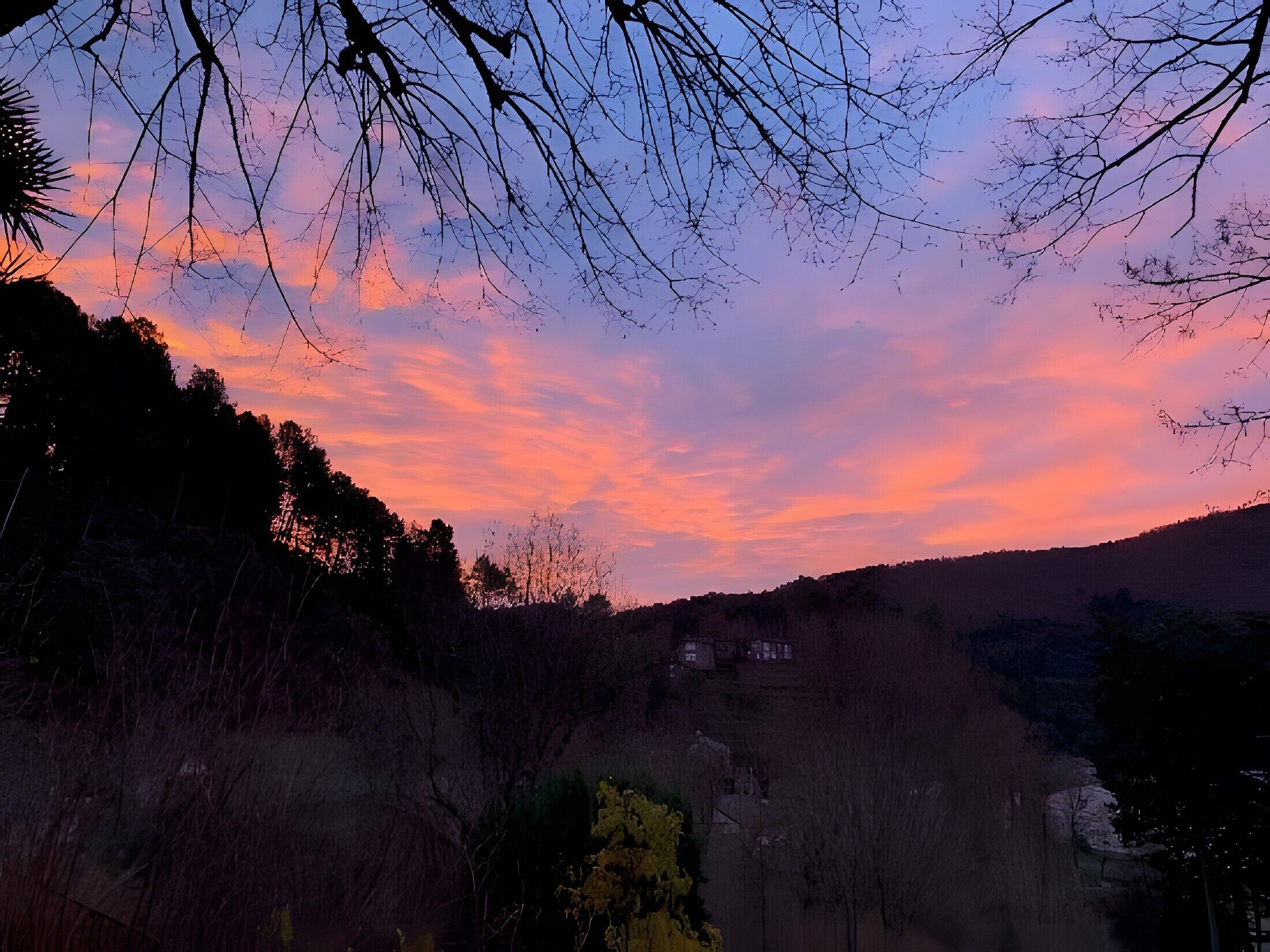 Eine Landschaft mit Sonnenuntergang, Bäumen und einem entfernten Gebäude.