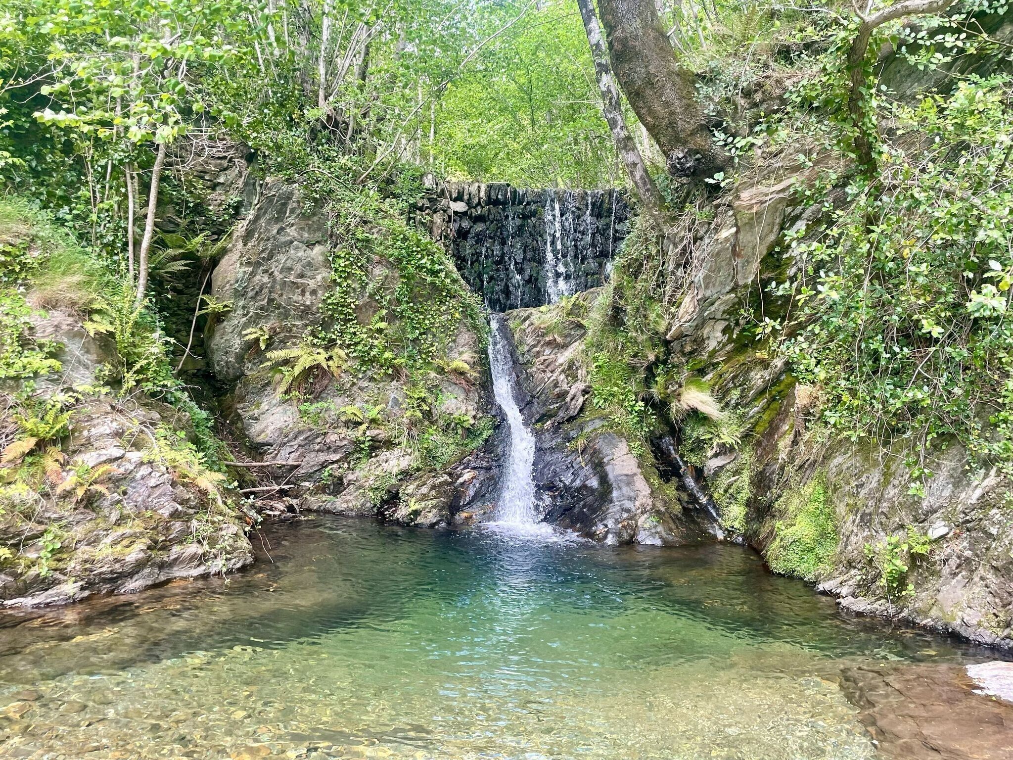 Een waterval in een bebost gebied met helder water en rotsachtige omgeving.