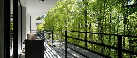 Appartement (F1) | Balcon