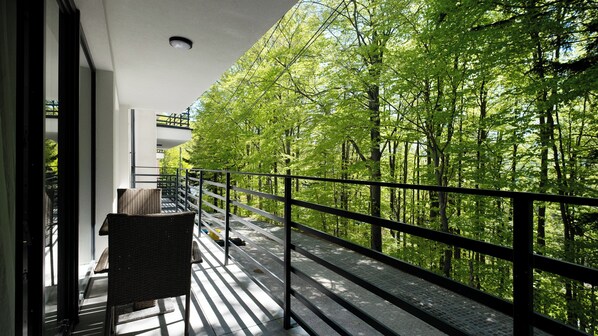 Apartment (F1) | Balcony - Apartamenty Sun & Snow Ski&Bike (Szczyrk)